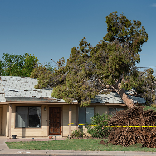 A home is shown with a tree collapsed on it.