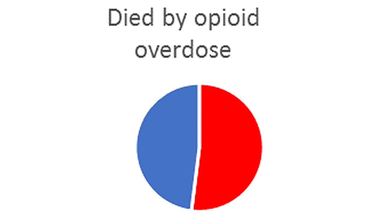 Pie chart - Died by Opioid Overdose