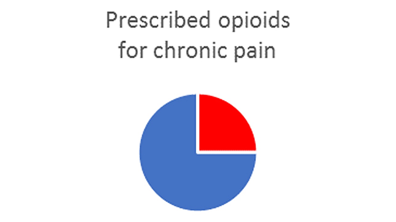 Pie chart - Prescribed Opioids for Chronic Pain
