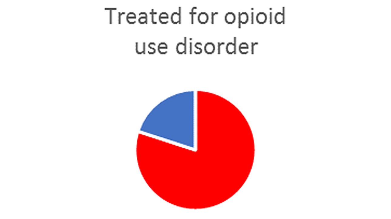 Pie Chart - Treated for Opioid Use Disorder