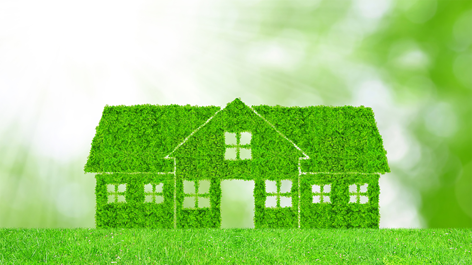 Green building with lawn texture