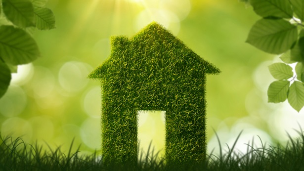 Sustainability and Green Building