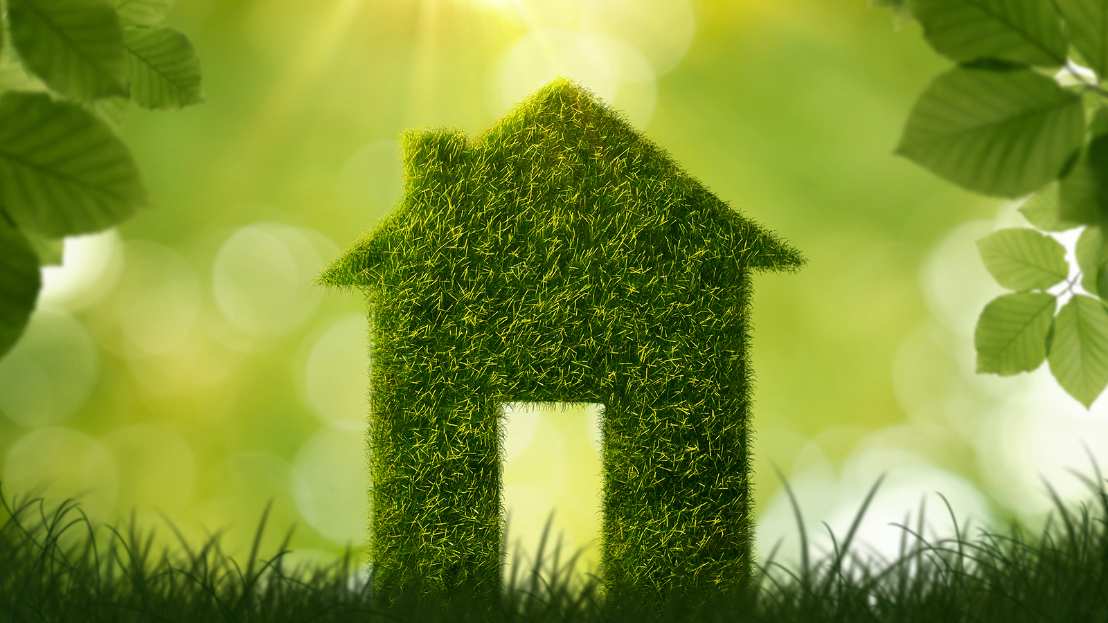 Home Builders and Remodelers Embrace Greener Practices, Surpassing 2019 Levels