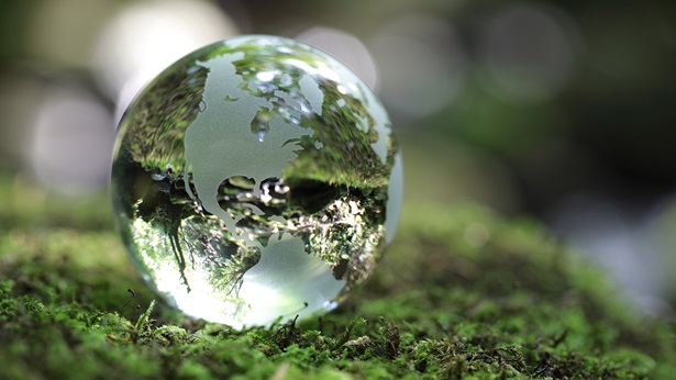 Transparent globe marble on top of moss