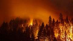 Home Wildfire Risk