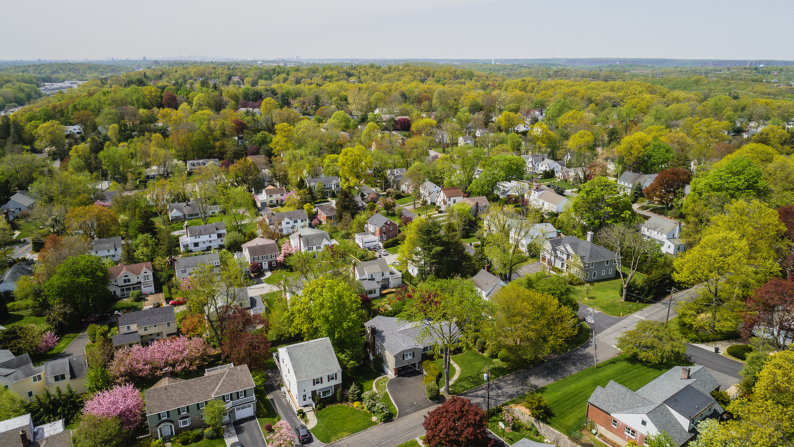 Birds eye view of a neighborhood with lots of trees