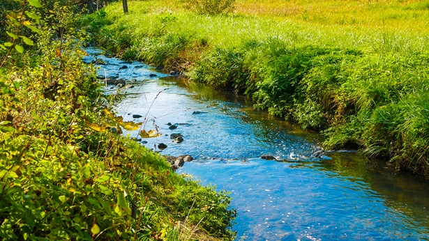 River