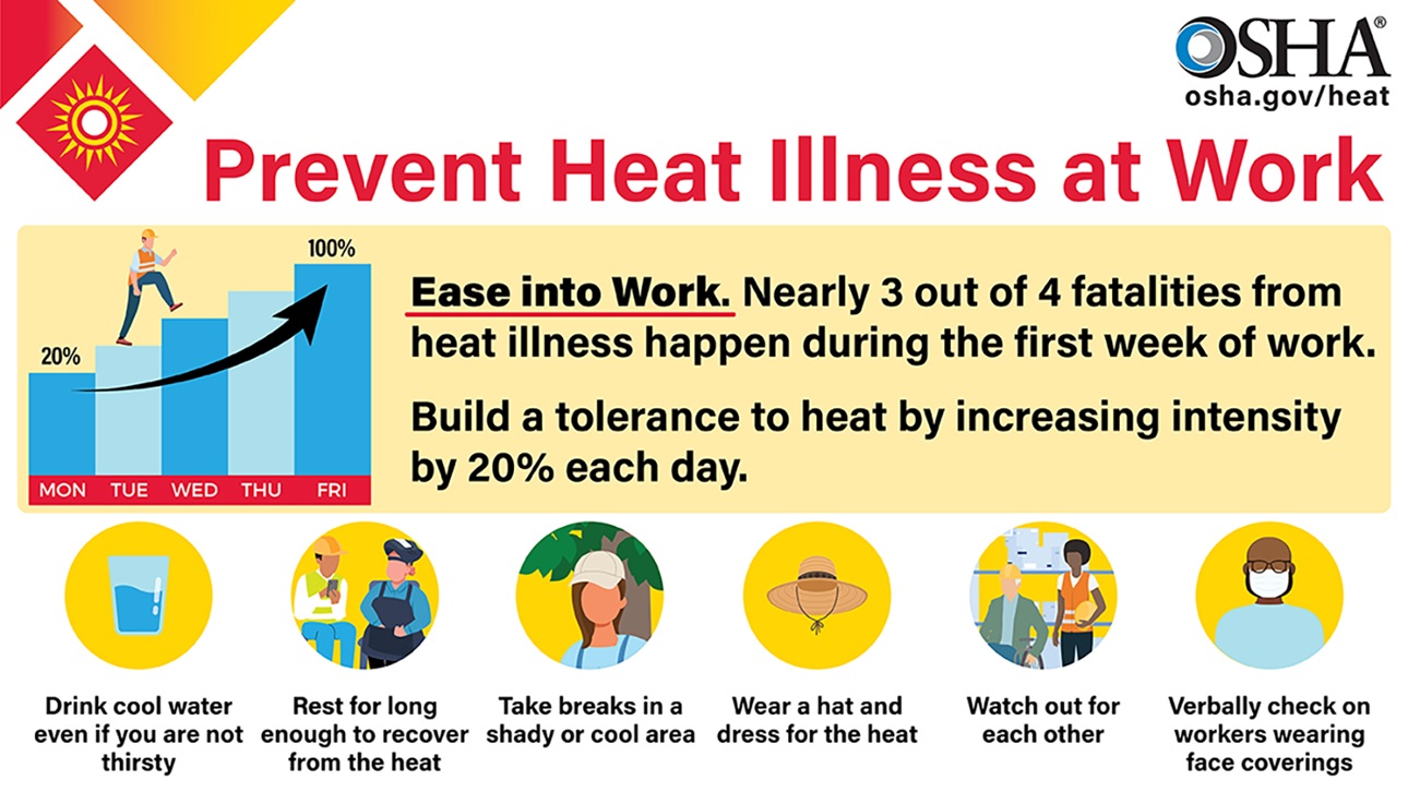 Prevent heat illness at work infographic