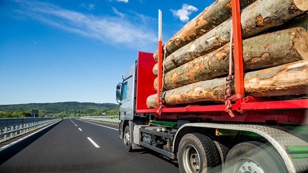 Lumber import