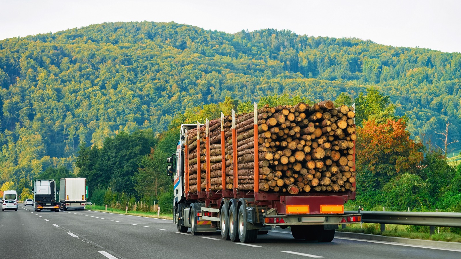 NAHB Calls on Biden to Act on Lumber and Supply Chain BottlenecksNAHB