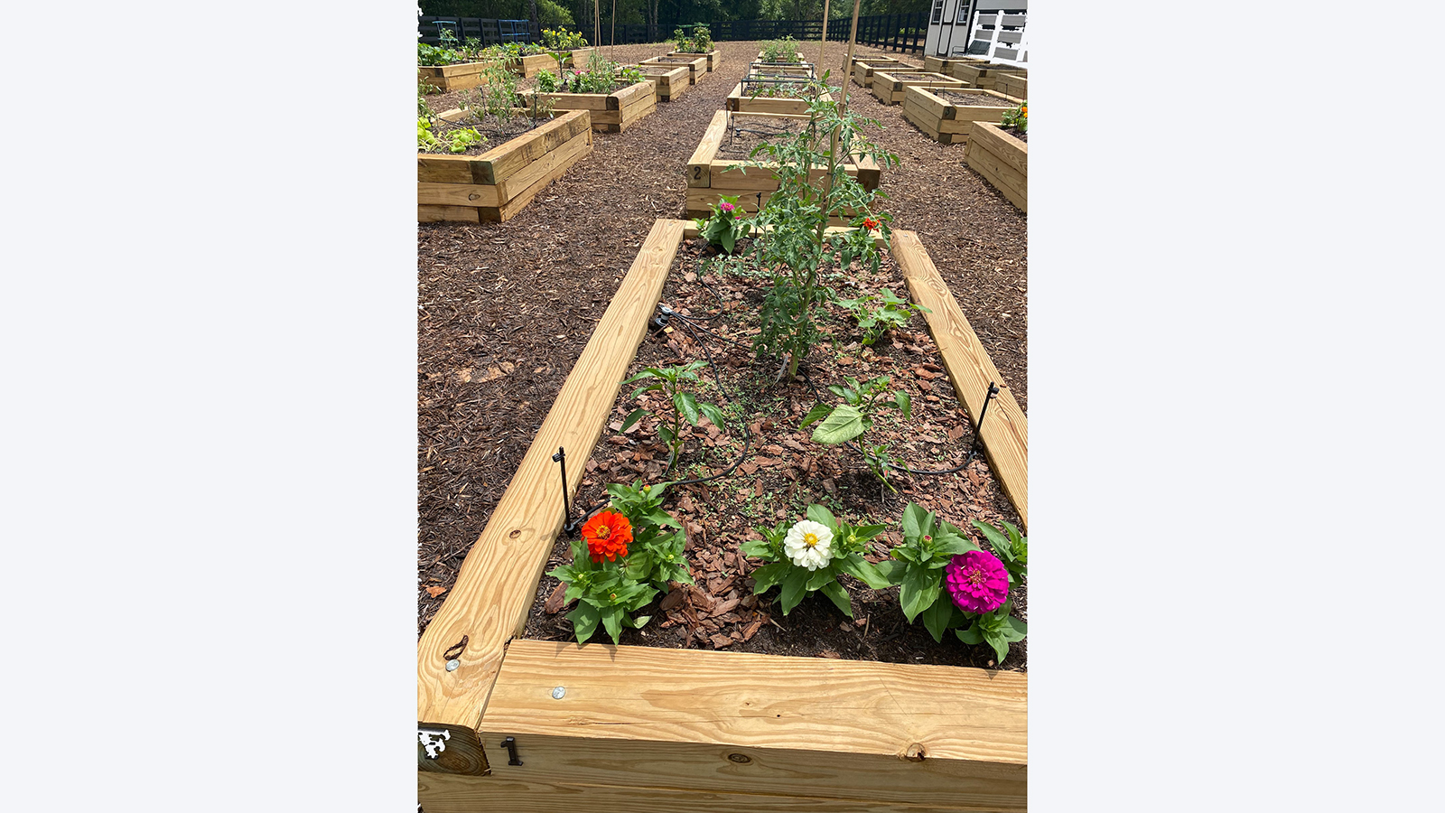 Community Garden