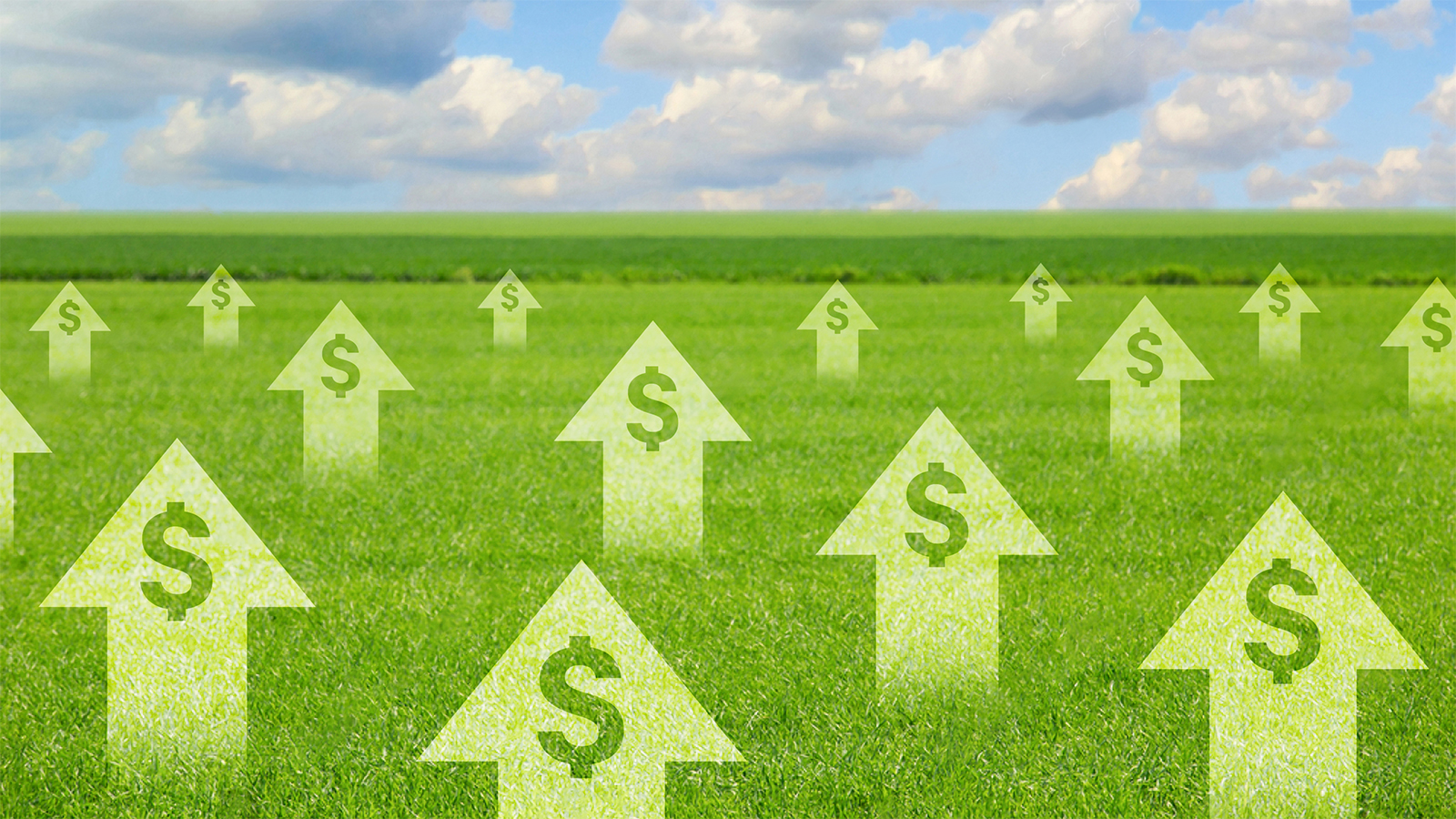 Land Development Costs