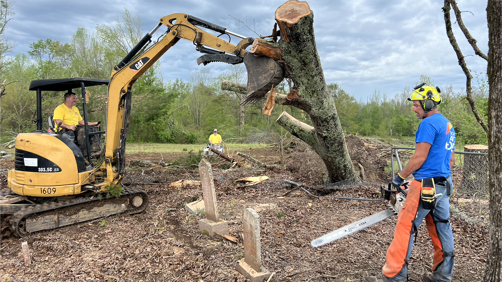 volunteers trim trees to support disaster relief efforts