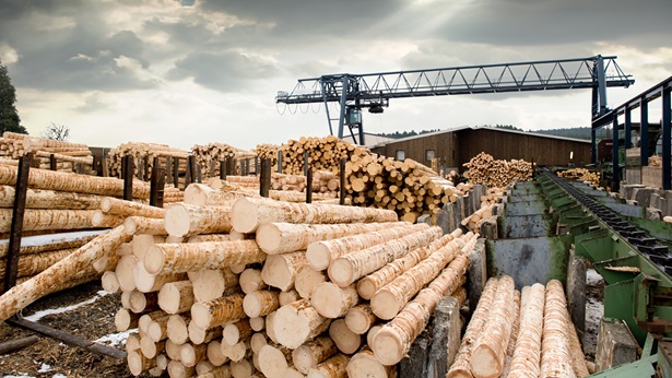Canadian Softwood Lumber