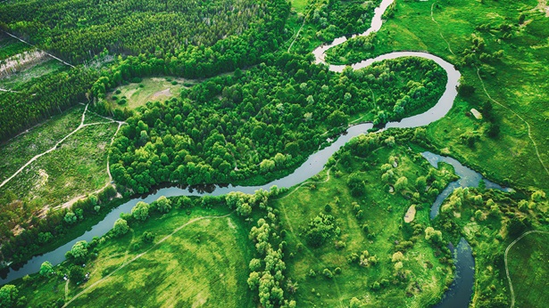 Environmental Issues Image