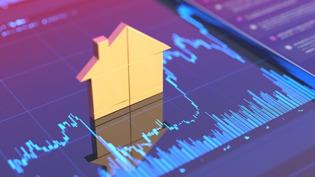 Housing Economics