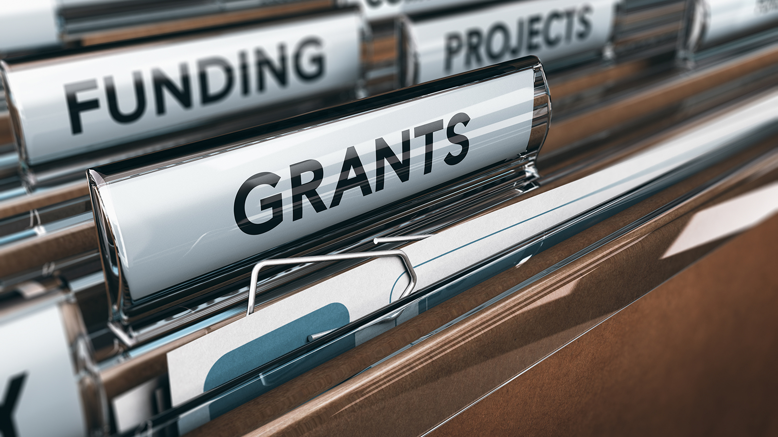 Leadership Grants