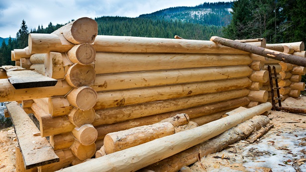 Log Homes Planning