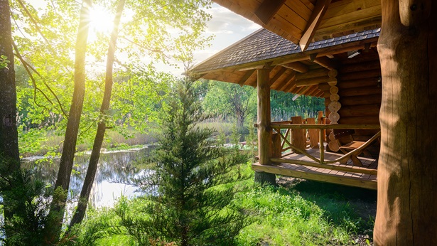 Green log home