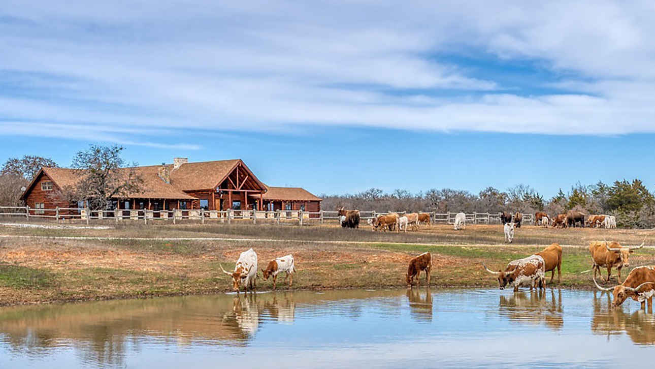 Real Log Homes