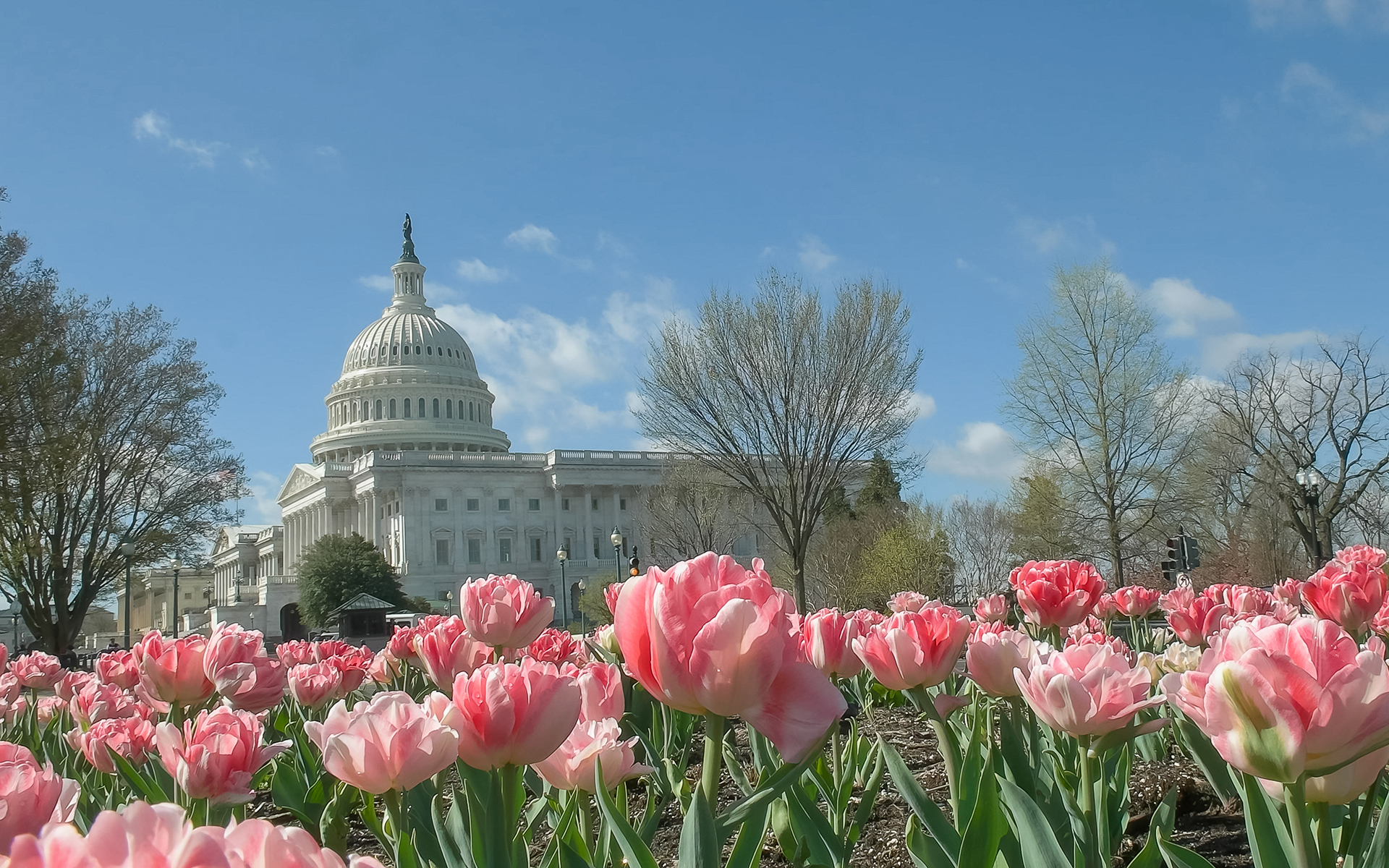 Capitol Building in Washington, D.C.